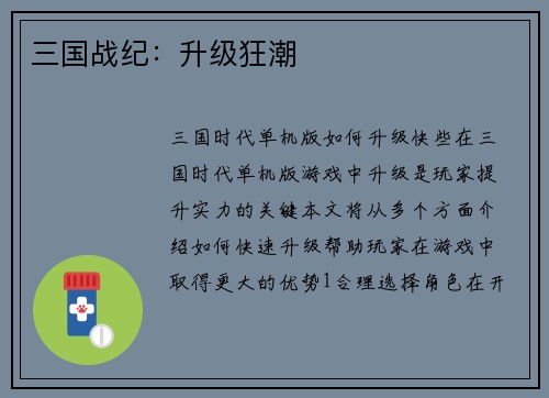 三国战纪：升级狂潮